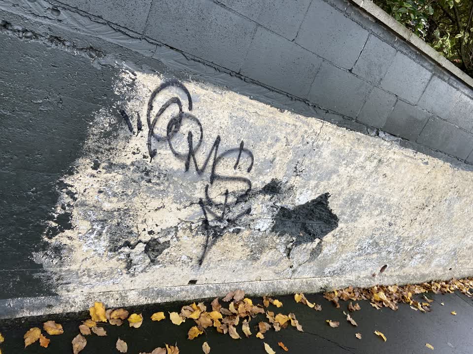 The photograph attached to this graffiti report