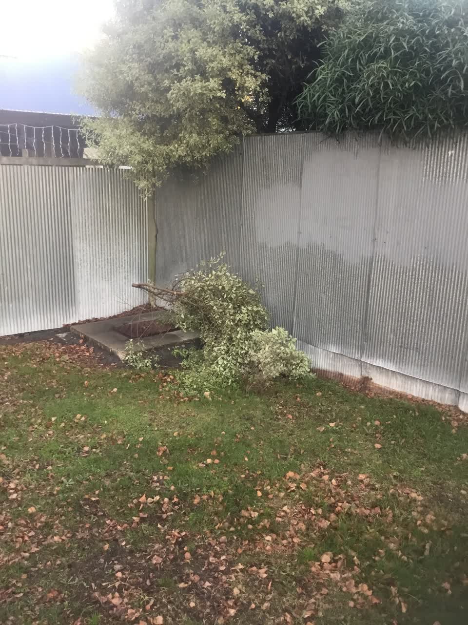 The photograph attached to this parks report