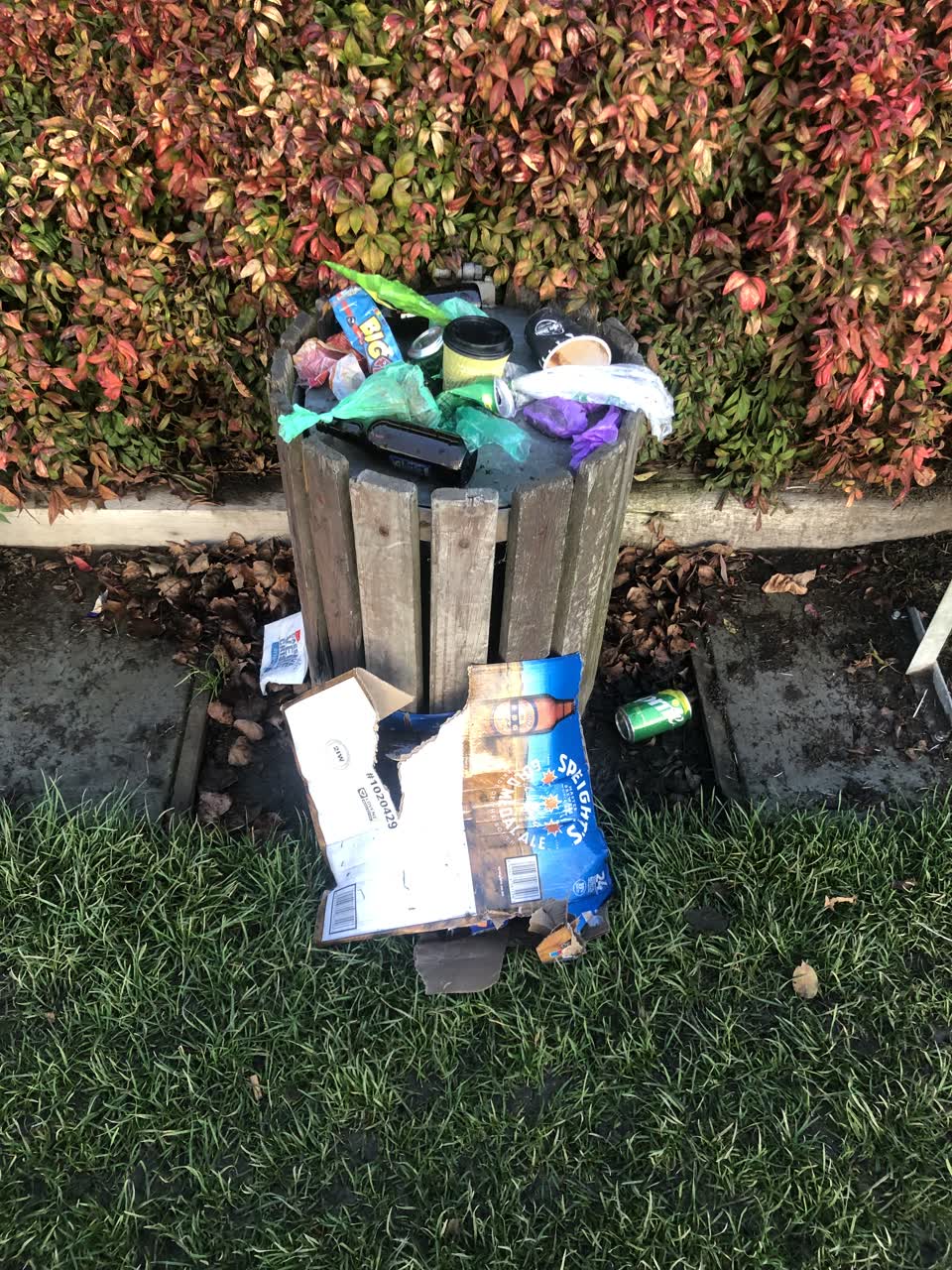 The photograph attached to this parks report