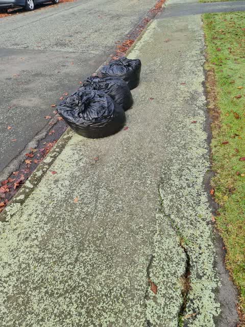 Rubbish/Recycling, a report photo
