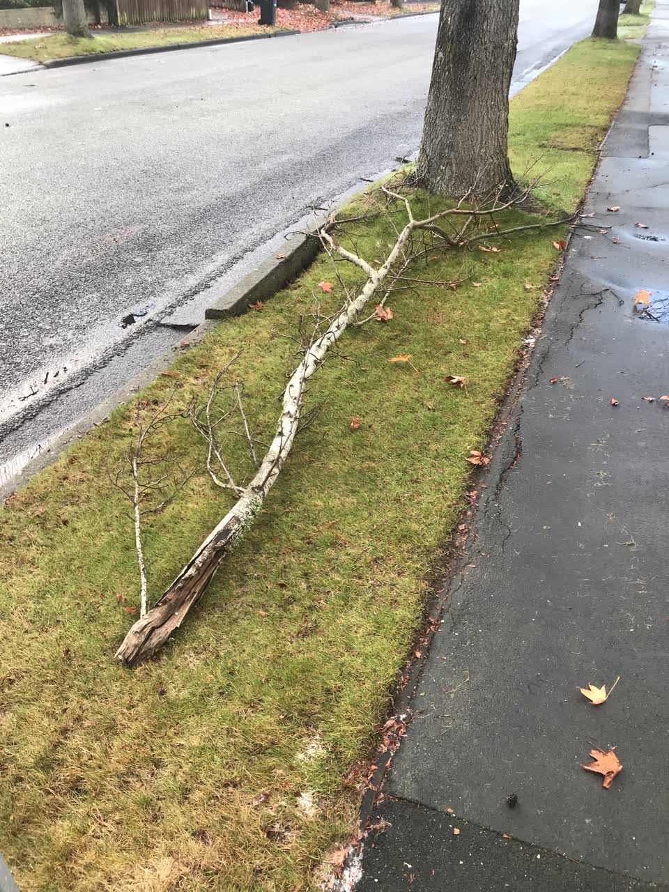 The photograph attached to this roading/streets report