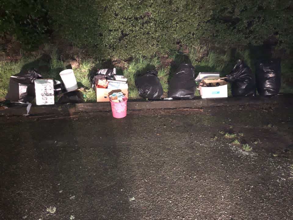 The photograph attached to this parks report
