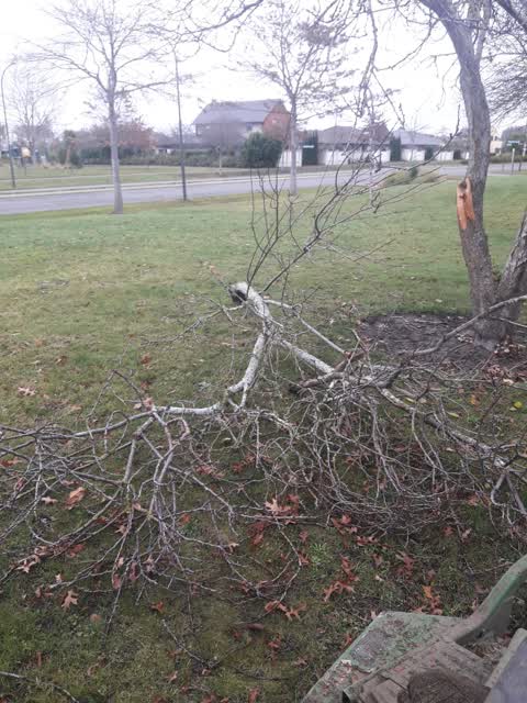 Parks, a report photo