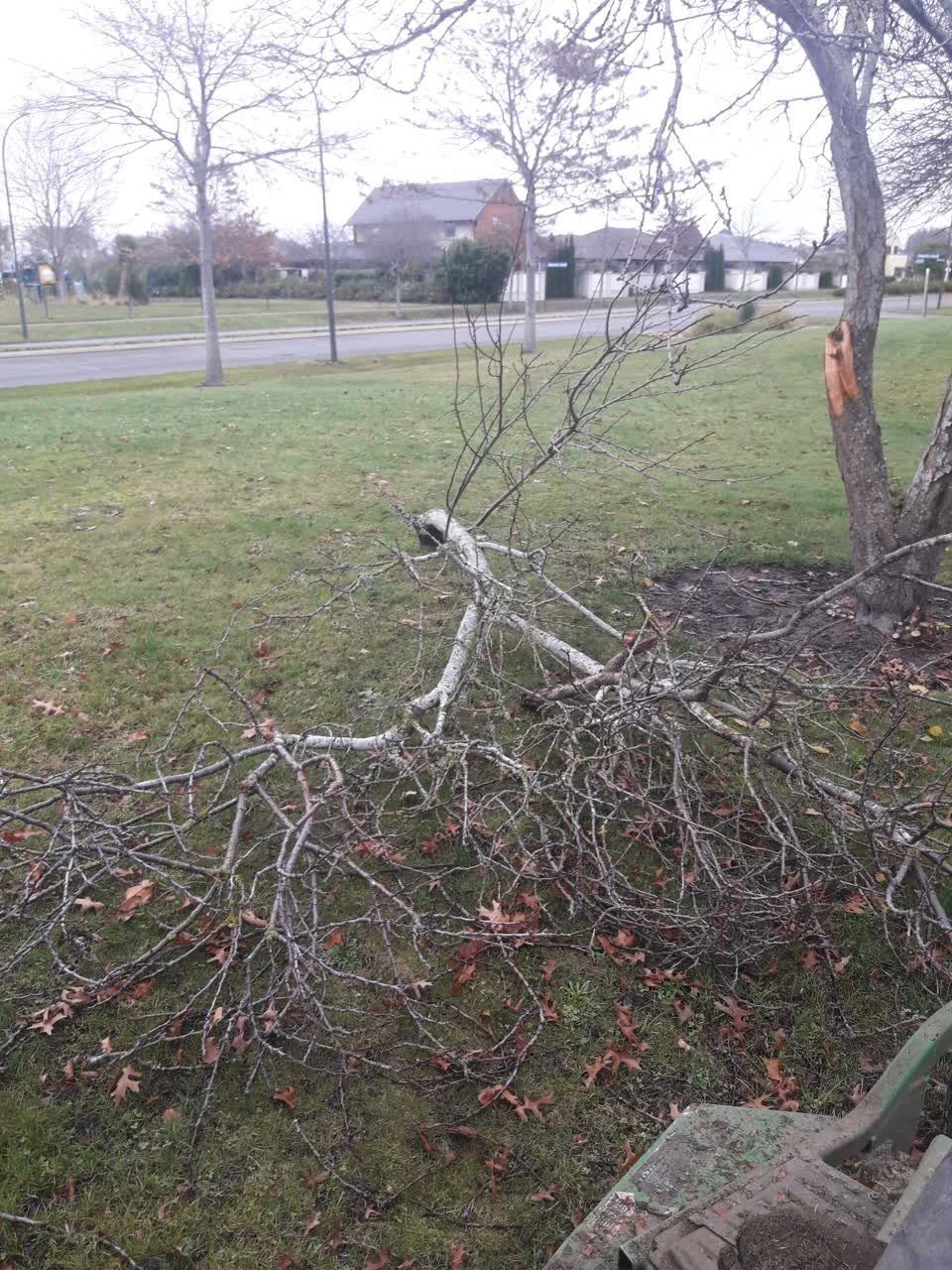 The photograph attached to this parks report