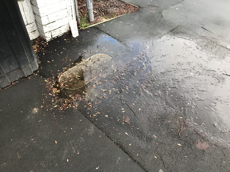 The photograph attached to this water leak report