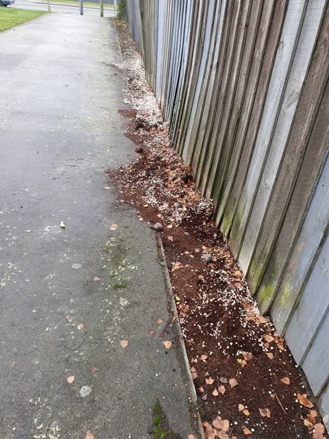 Parks, a report photo