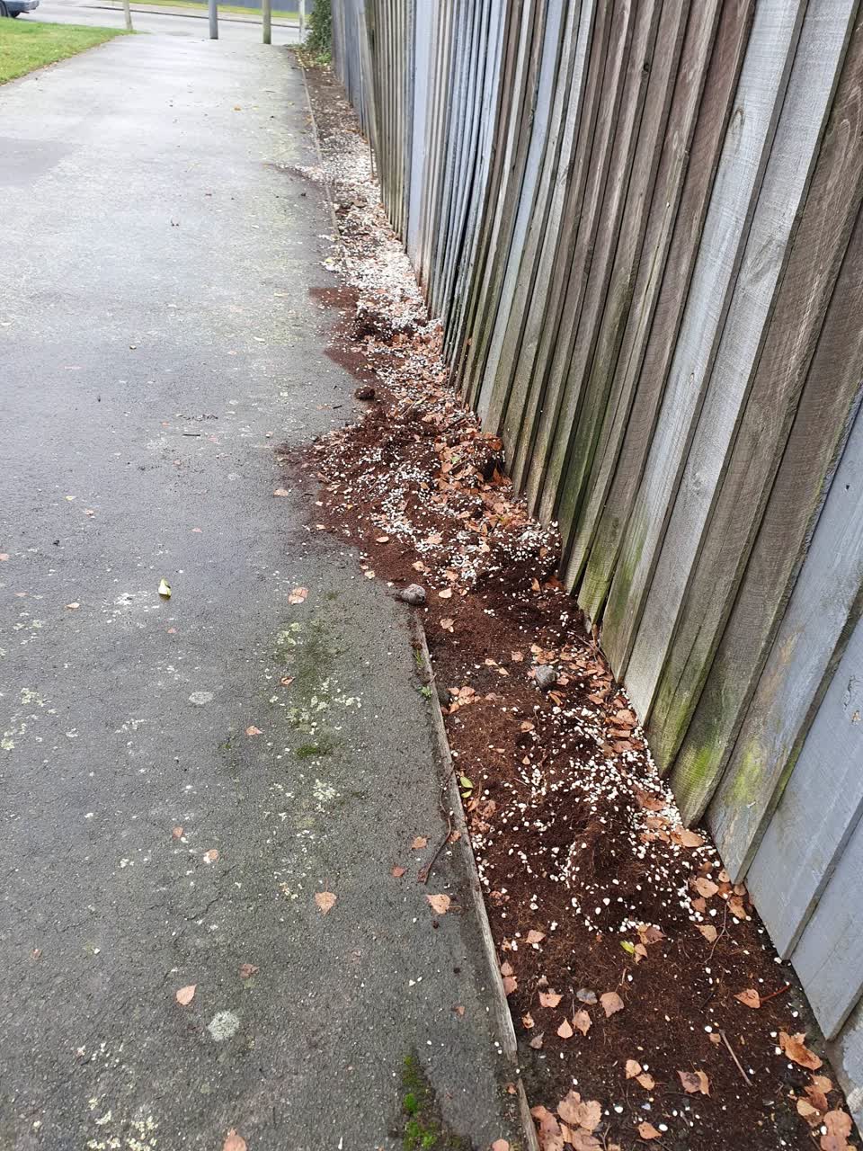 The photograph attached to this parks report