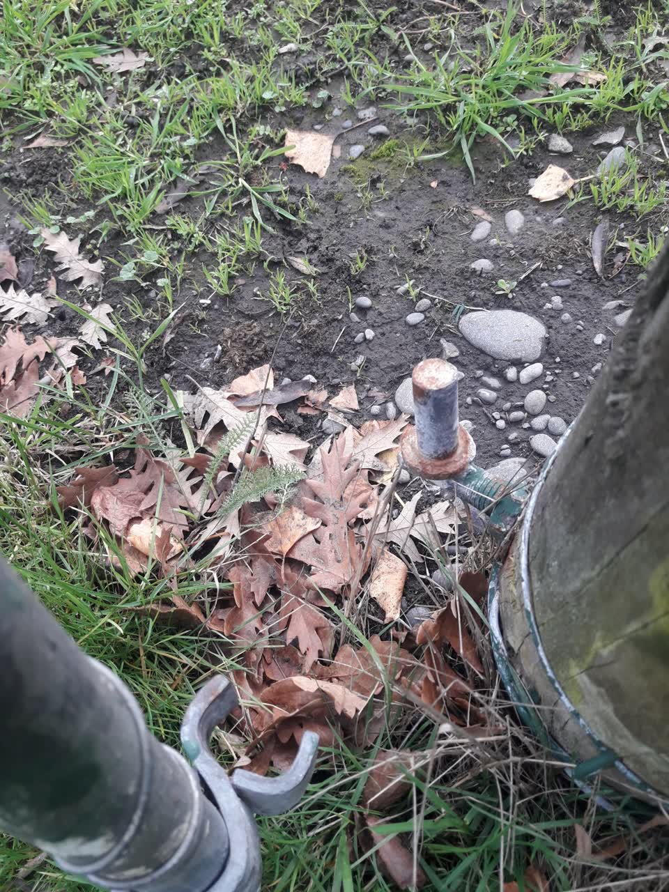 The photograph attached to this parks report