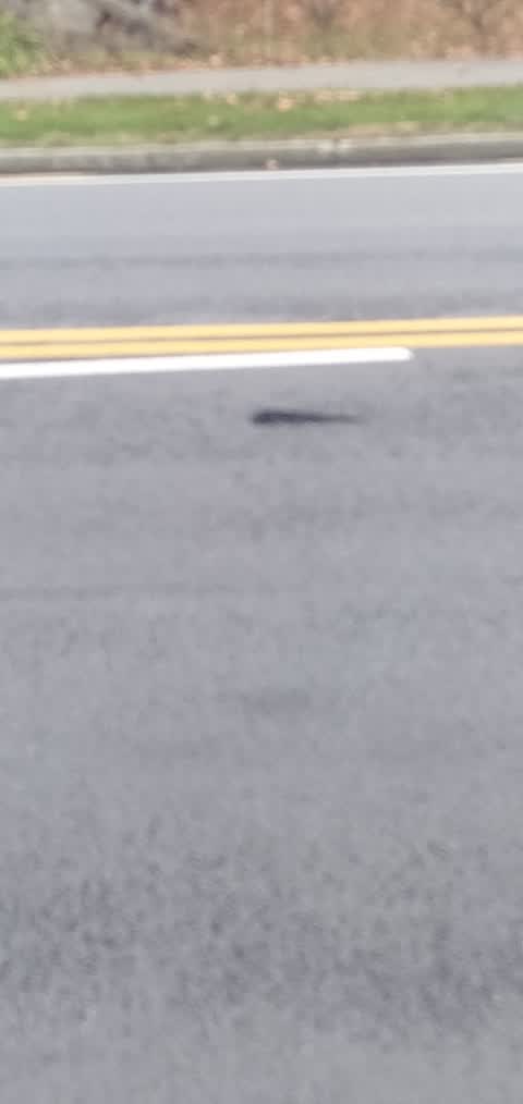 Roading/Streets, a report photo