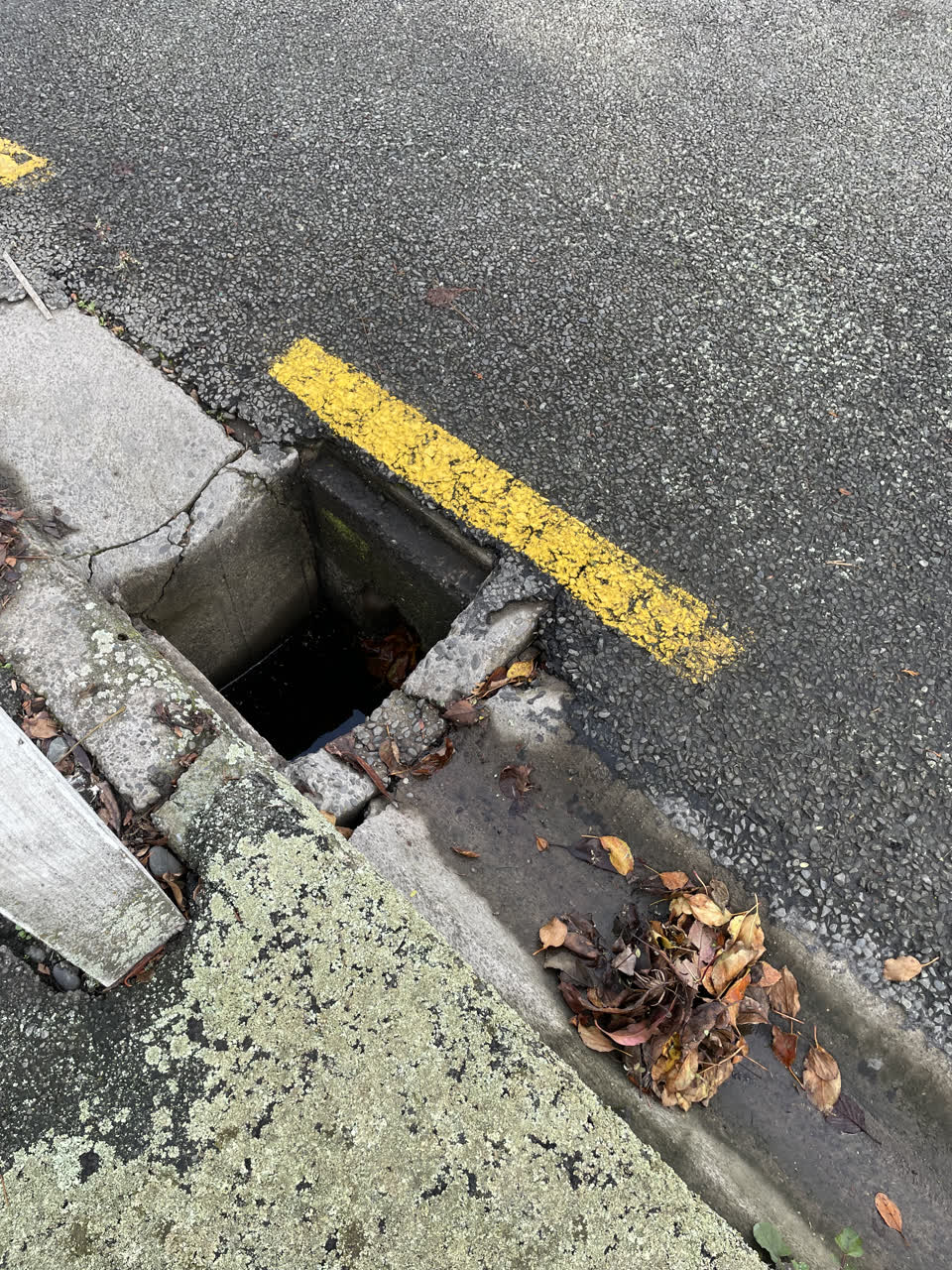 The photograph attached to this wastewater/stormwater report