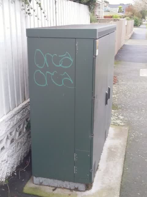 Graffiti, a report photo