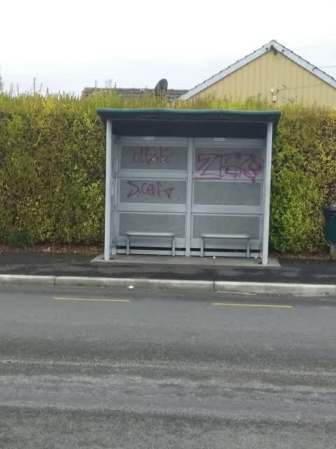 Graffiti, a report photo