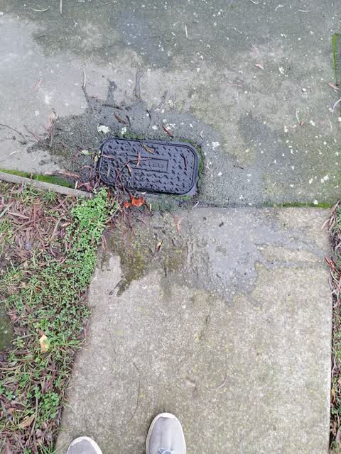Water Leak, a report photo