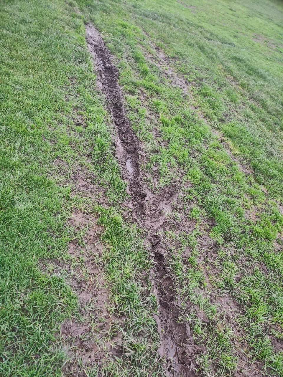 The photograph attached to this parks report