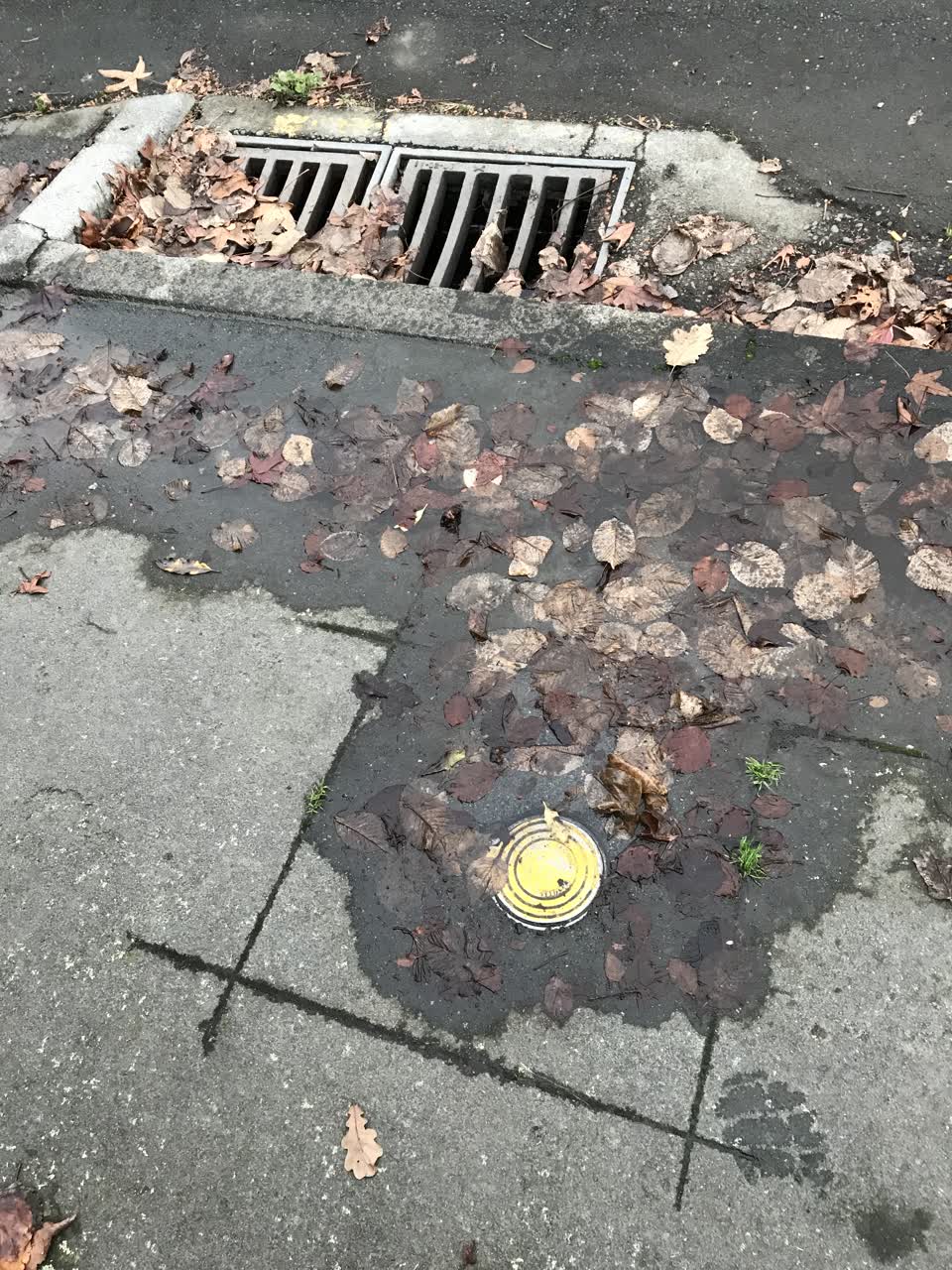 The photograph attached to this water leak report