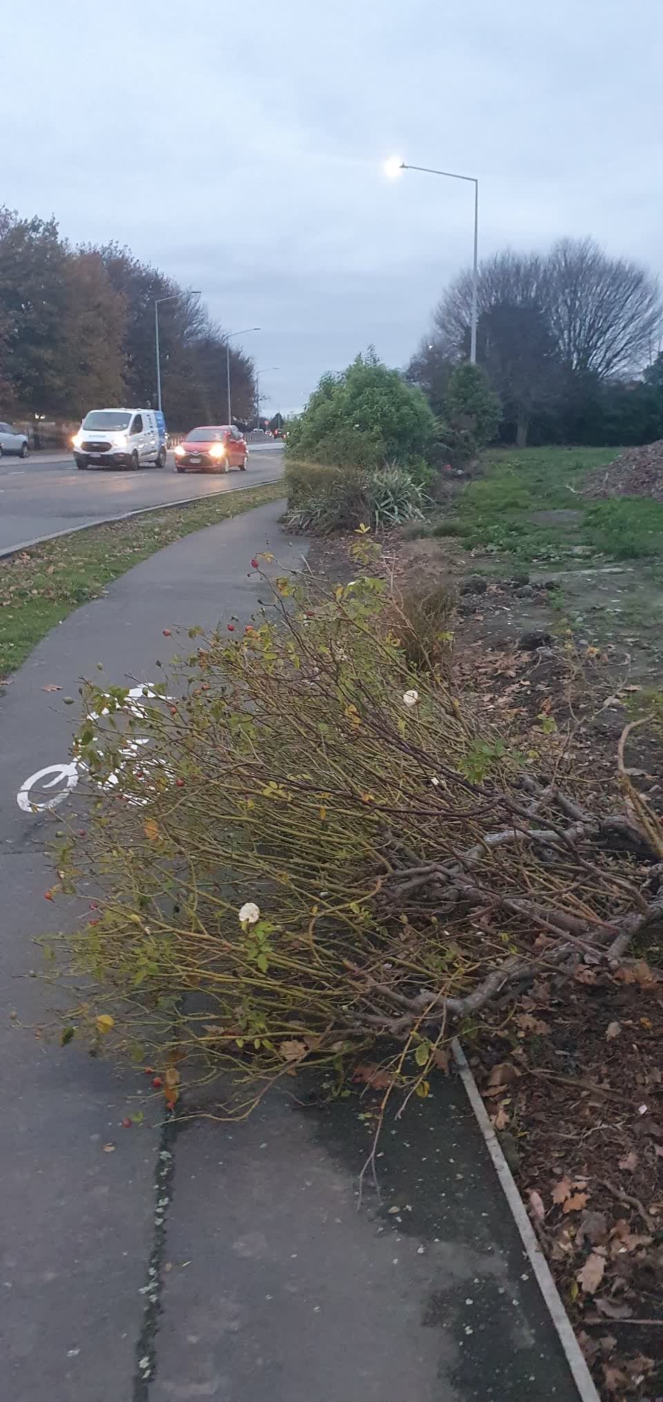 The photograph attached to this roading/streets report