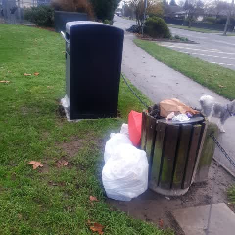 Rubbish/Recycling, a report photo