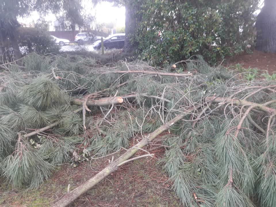 The photograph attached to this parks report