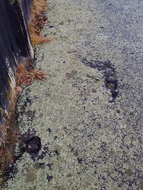 Roading/Streets, a report photo