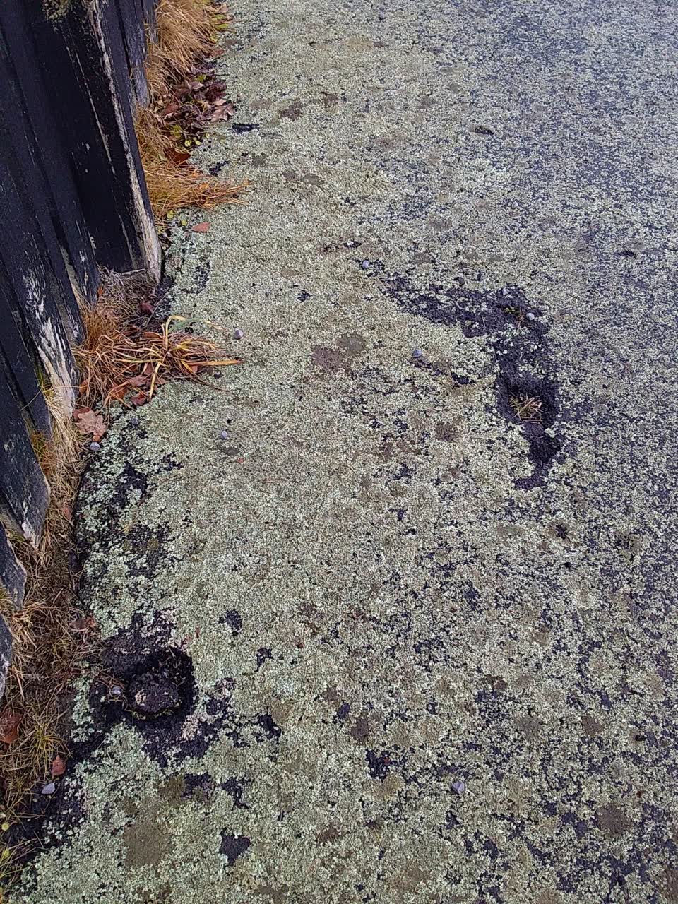 The photograph attached to this roading/streets report