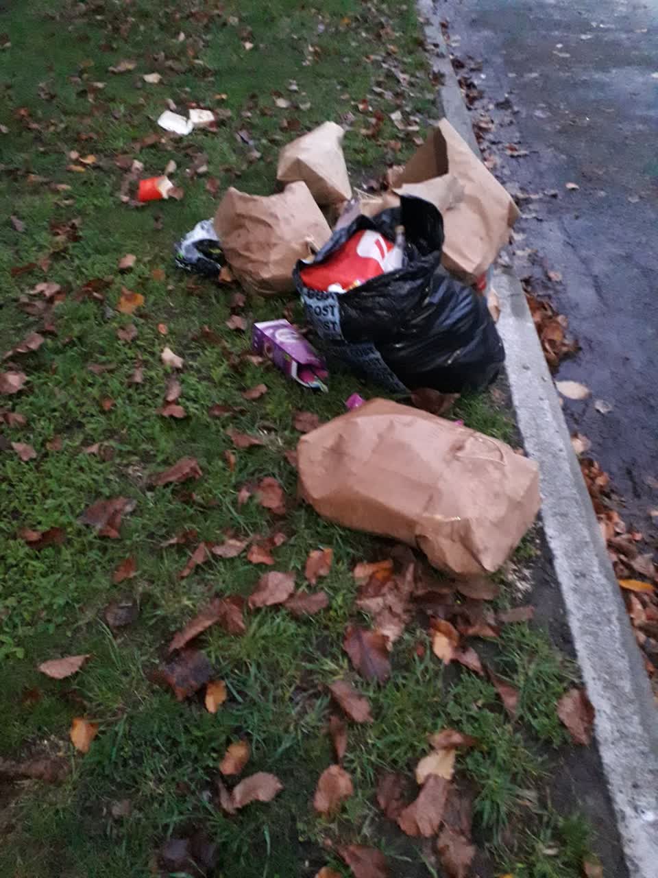 The photograph attached to this rubbish/recycling report