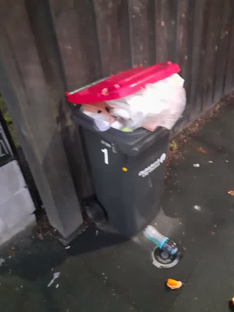 Rubbish/Recycling, a report photo
