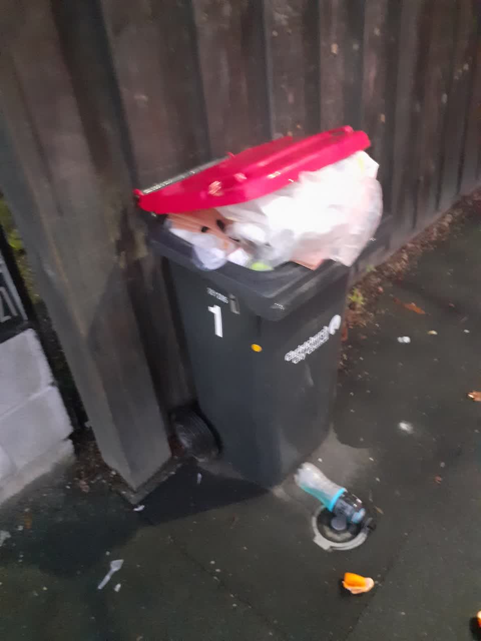 The photograph attached to this rubbish/recycling report