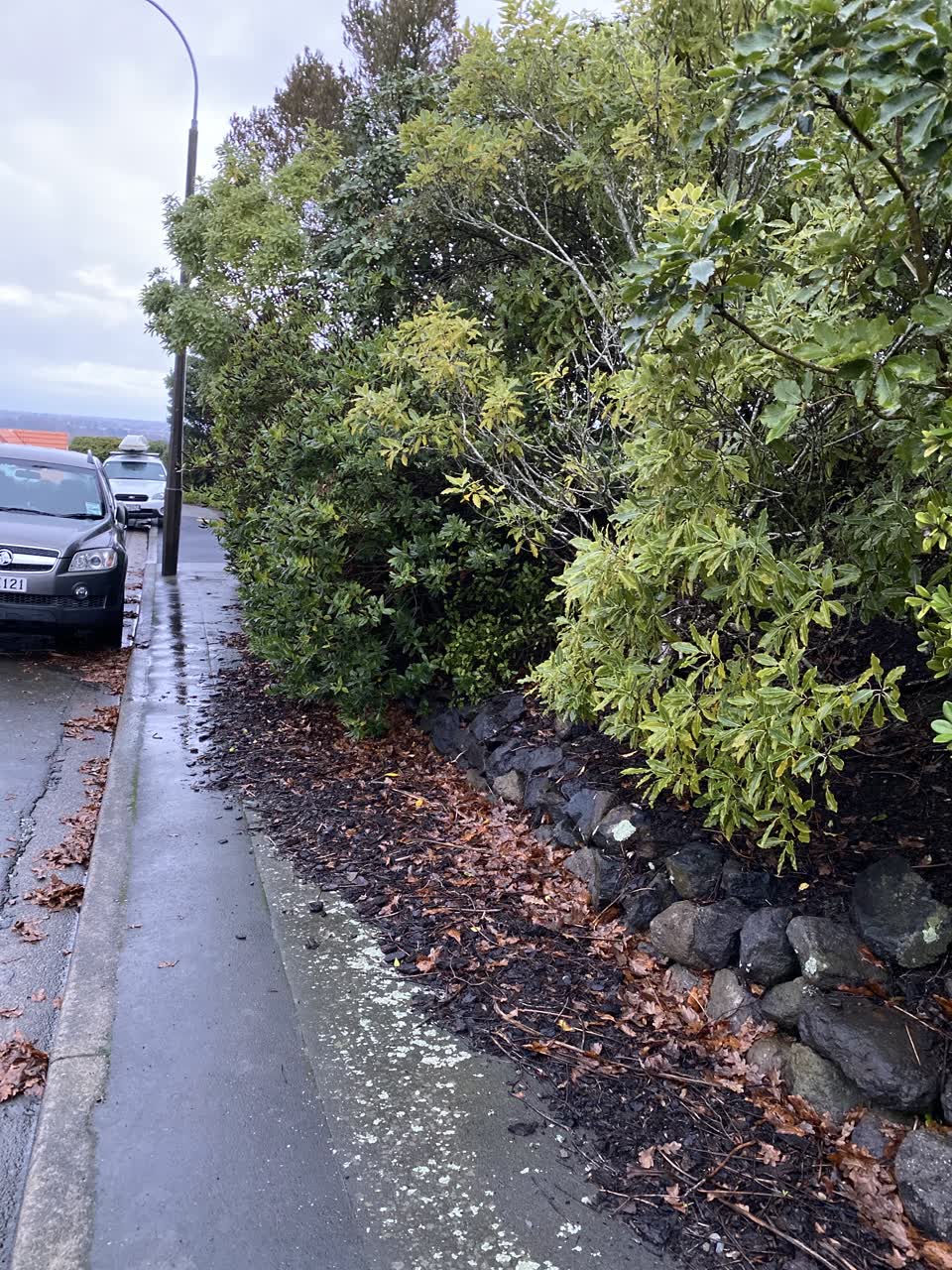 The photograph attached to this roading/streets report