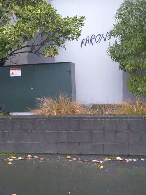 Graffiti, a report photo