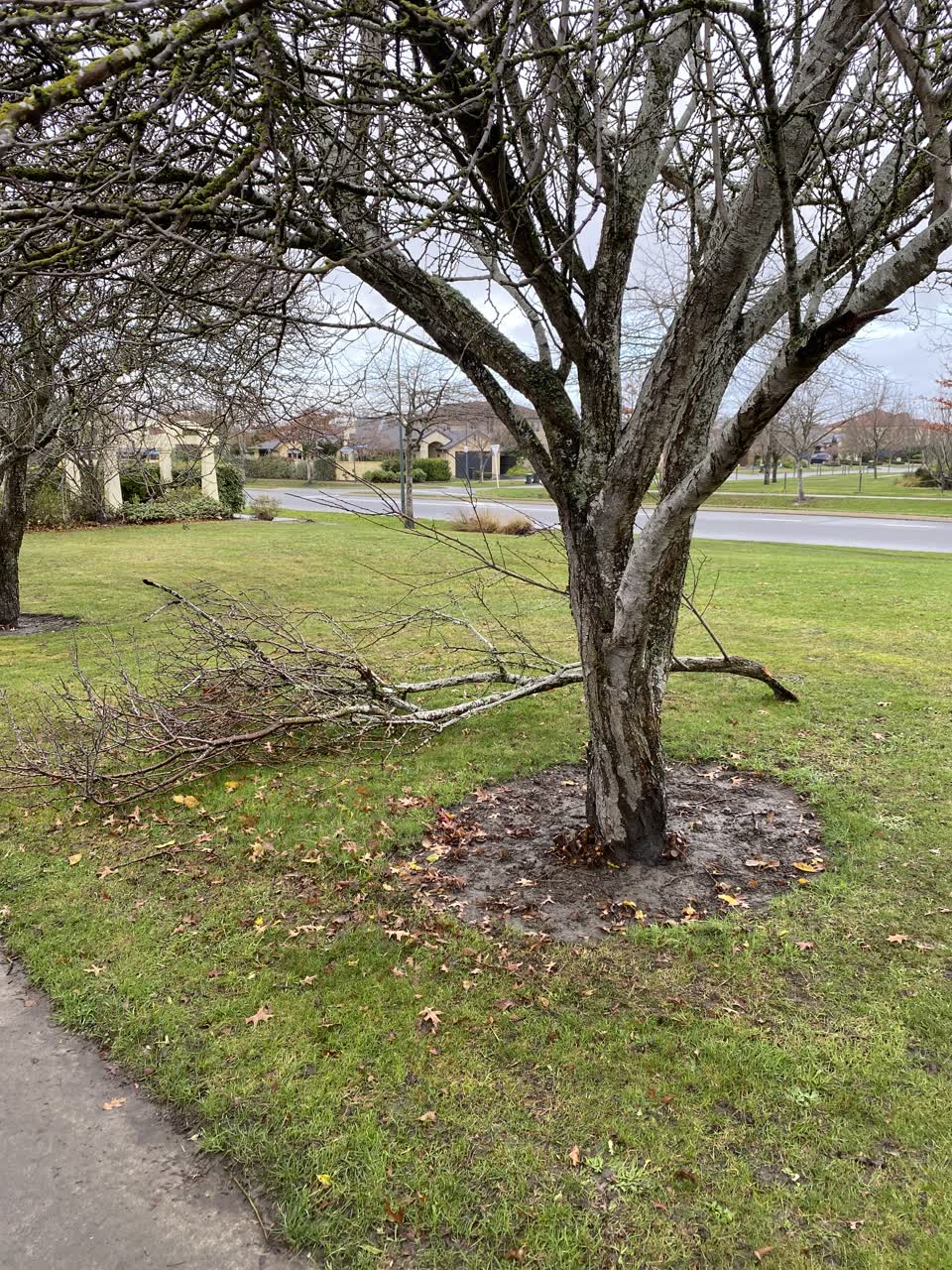 The photograph attached to this parks report