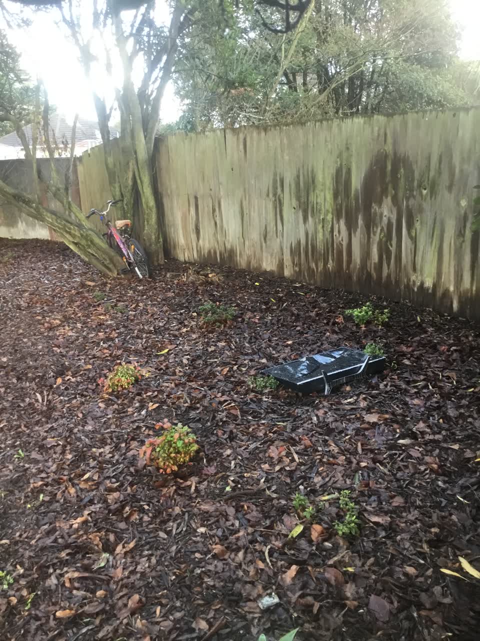 The photograph attached to this parks report