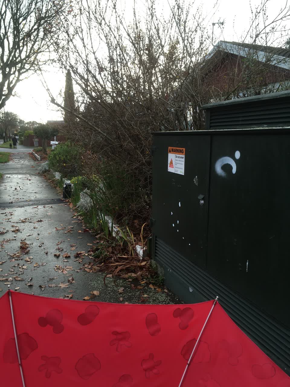 The photograph attached to this roading/streets report