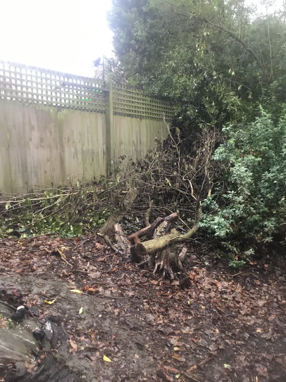 The photograph attached to this parks report