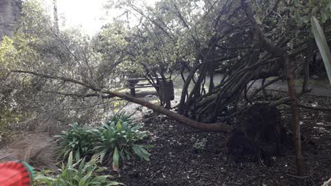 Parks, a report photo