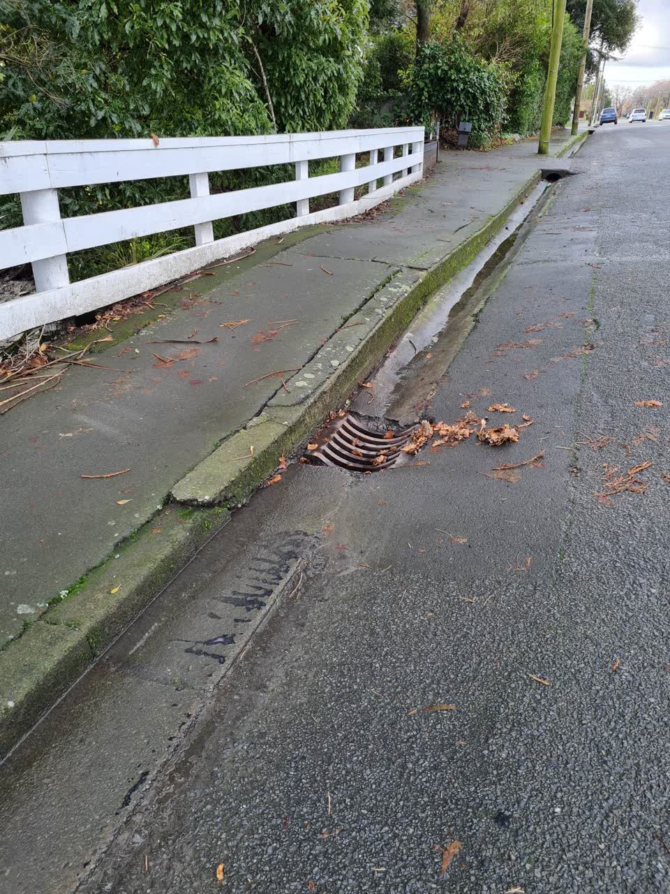 The photograph attached to this roading/streets report