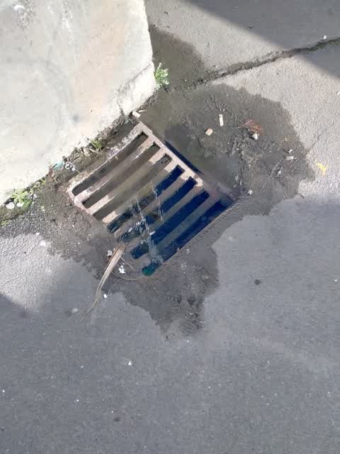 Sewer - Leak / Blockage — a report photo