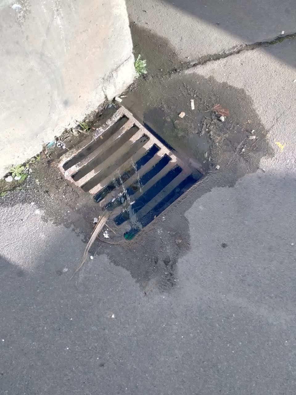 The photograph attached to this sewer - leak / blockage report