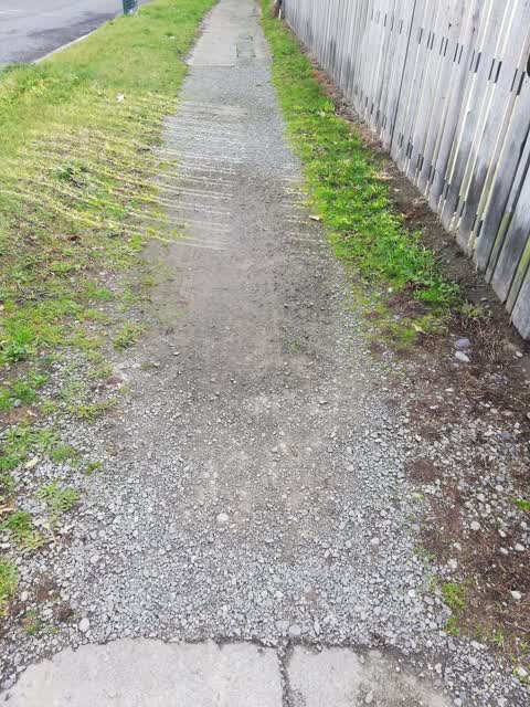 Roading/Streets, a report photo