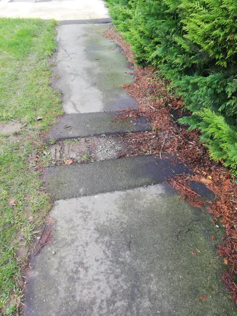 Roading/Streets, a report photo
