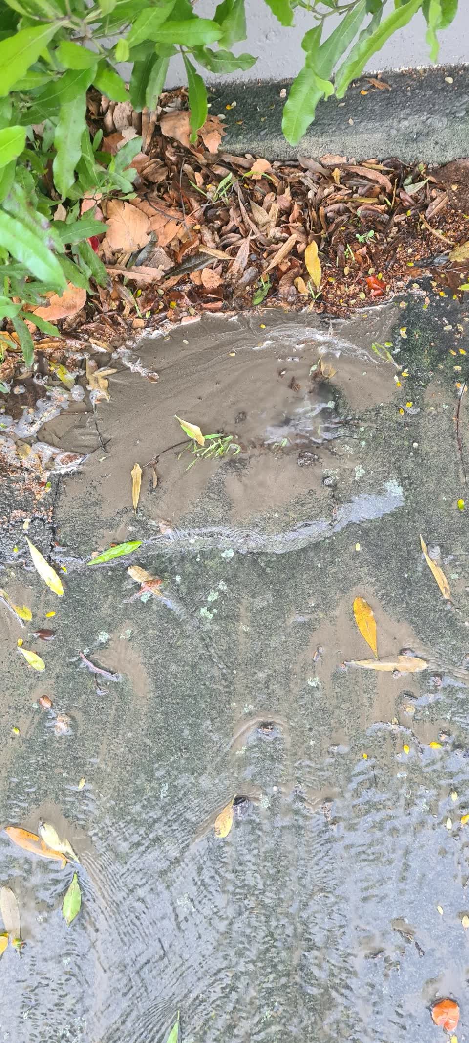 The photograph attached to this water leak report