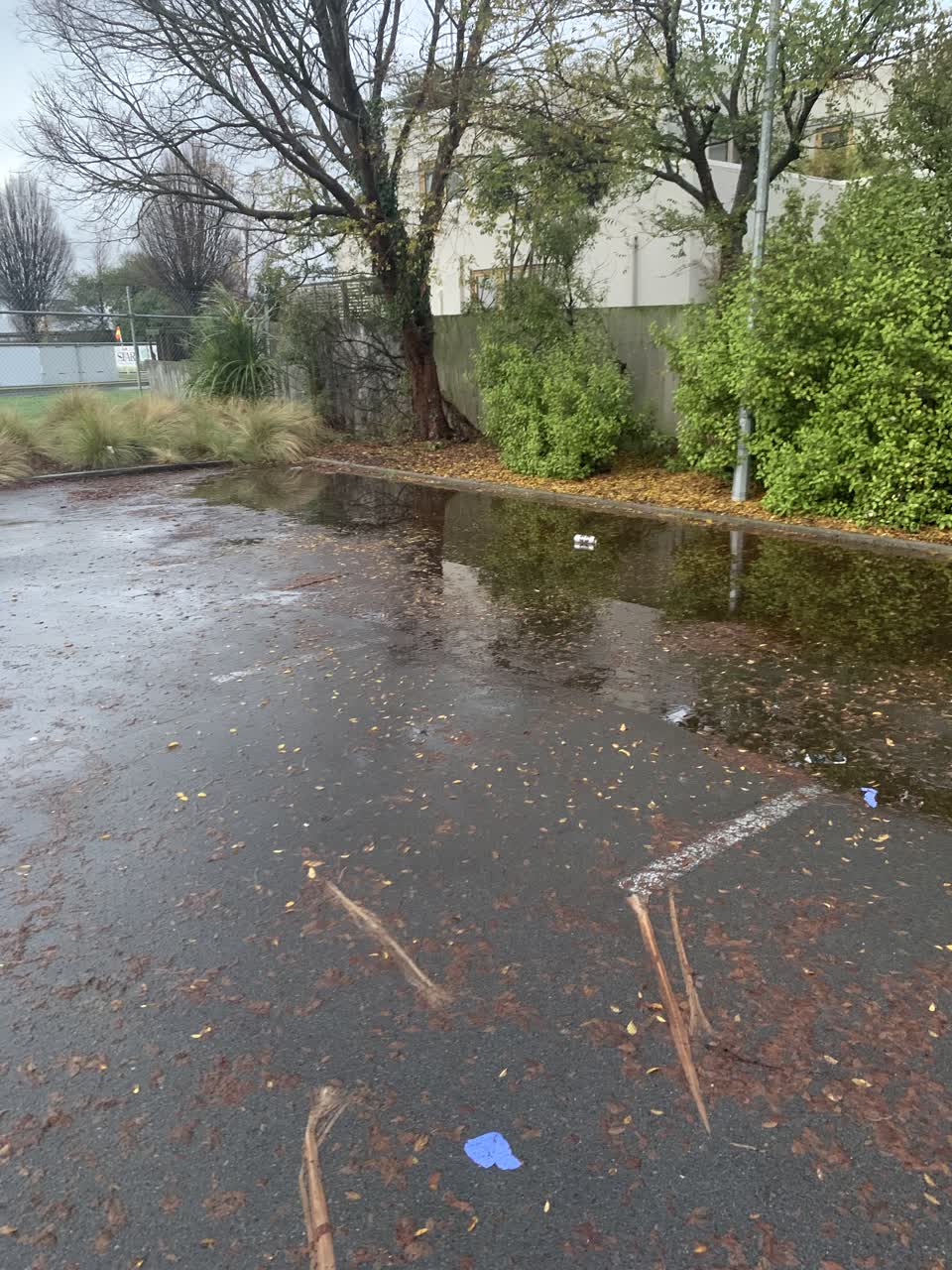 The photograph attached to this parks report