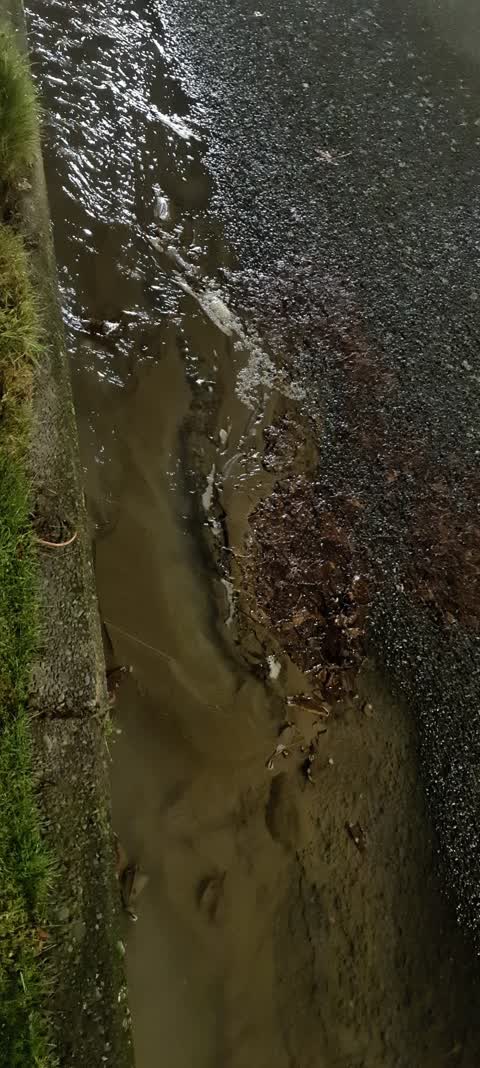 Water Leak, a report photo