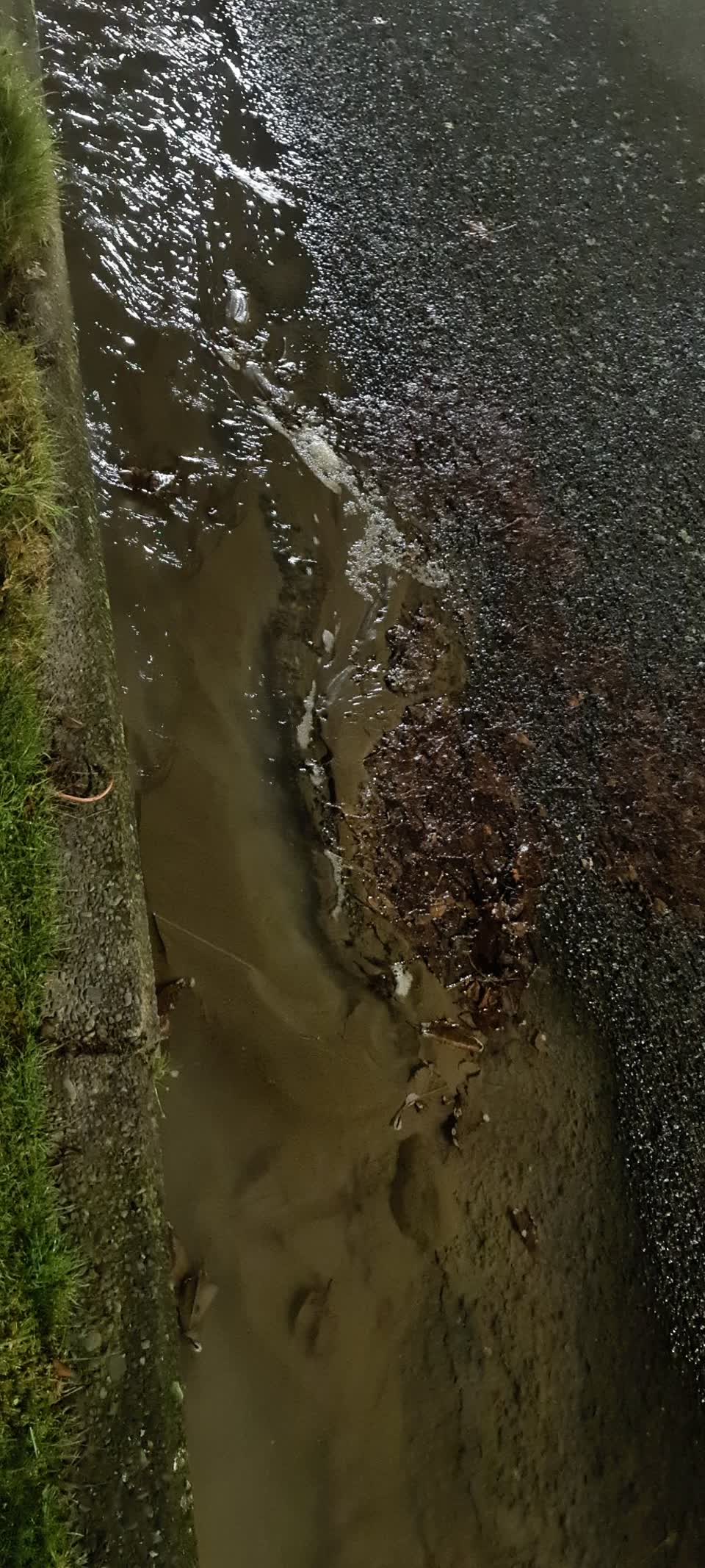 The photograph attached to this water leak report