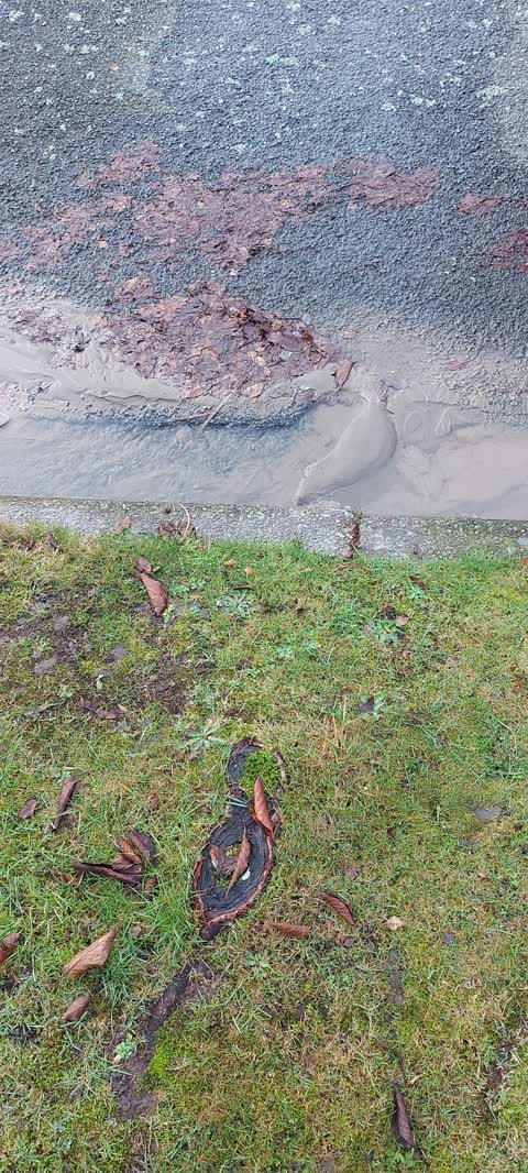 Water Leak, a report photo
