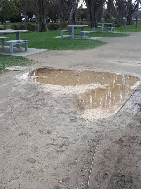 Parks, a report photo