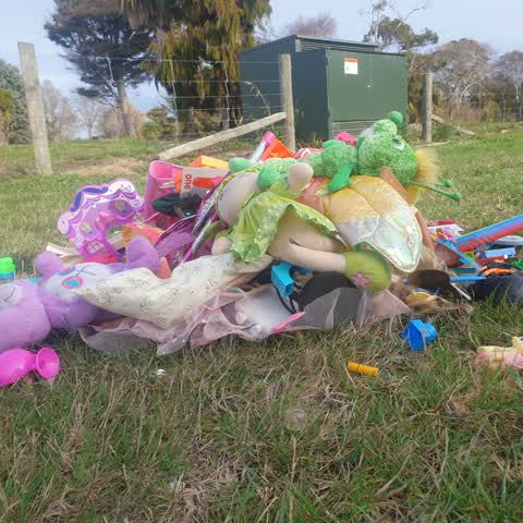 Rubbish/Recycling, a report photo