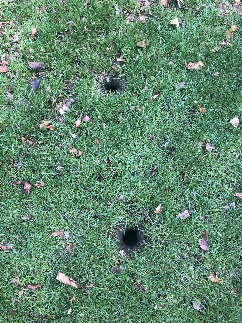 The photograph attached to this parks report