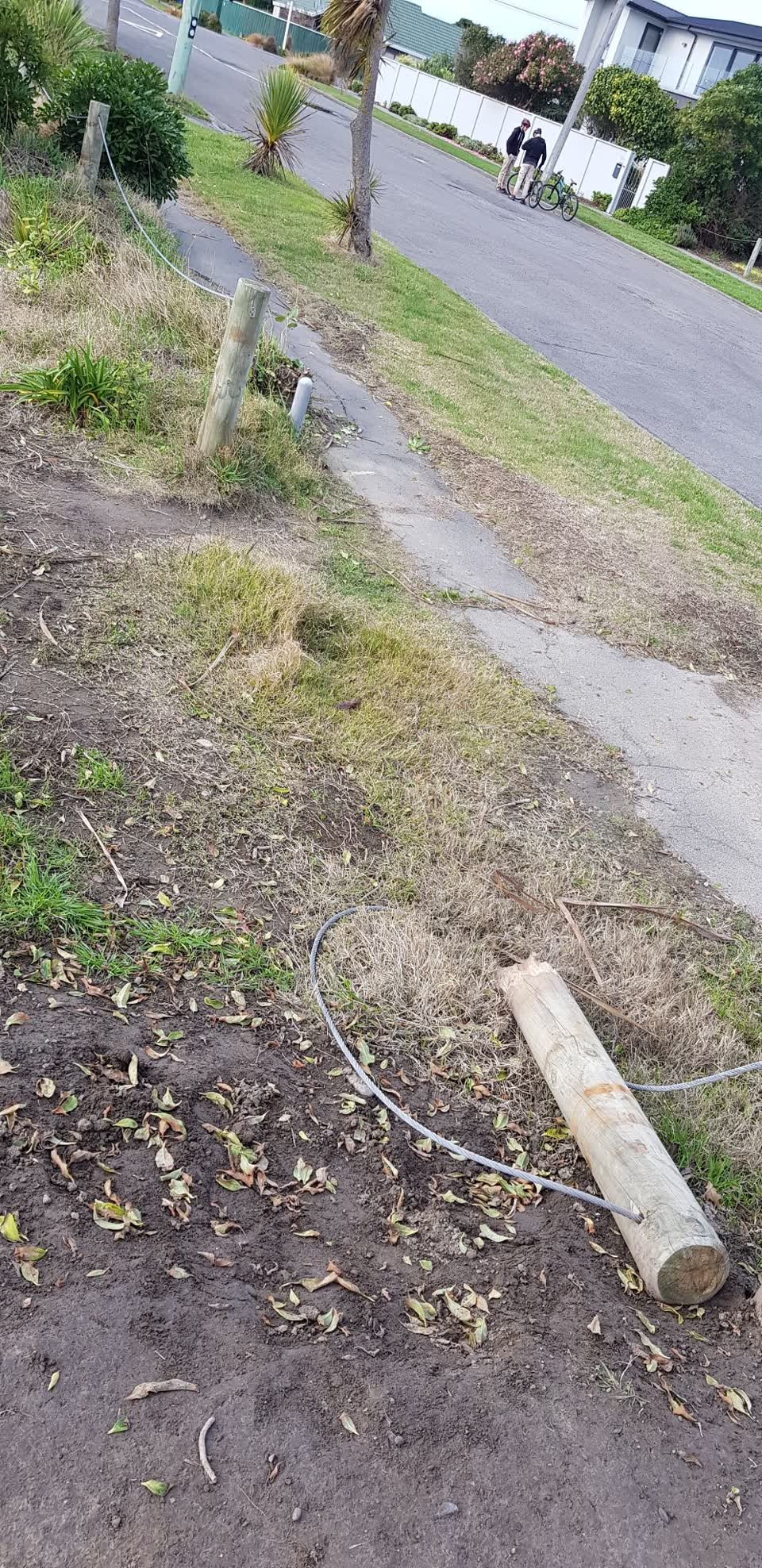 The photograph attached to this parks report