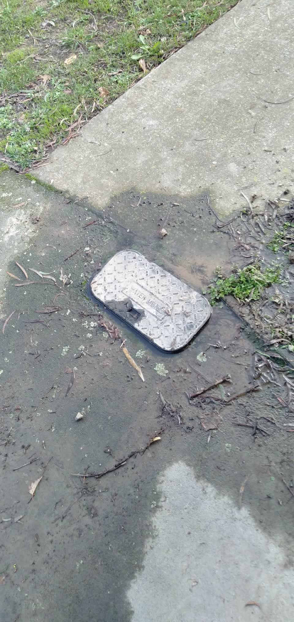 The photograph attached to this water leak report