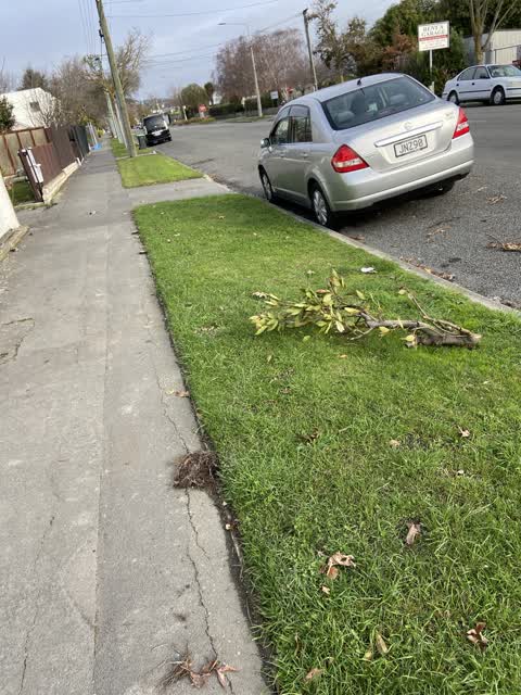 Roading/Streets, a report photo